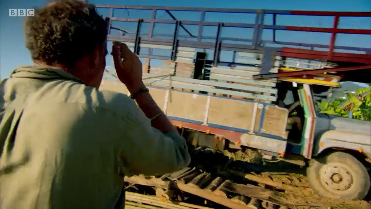 pierre gasly's little rat beard (lewismygoat) / Twitter