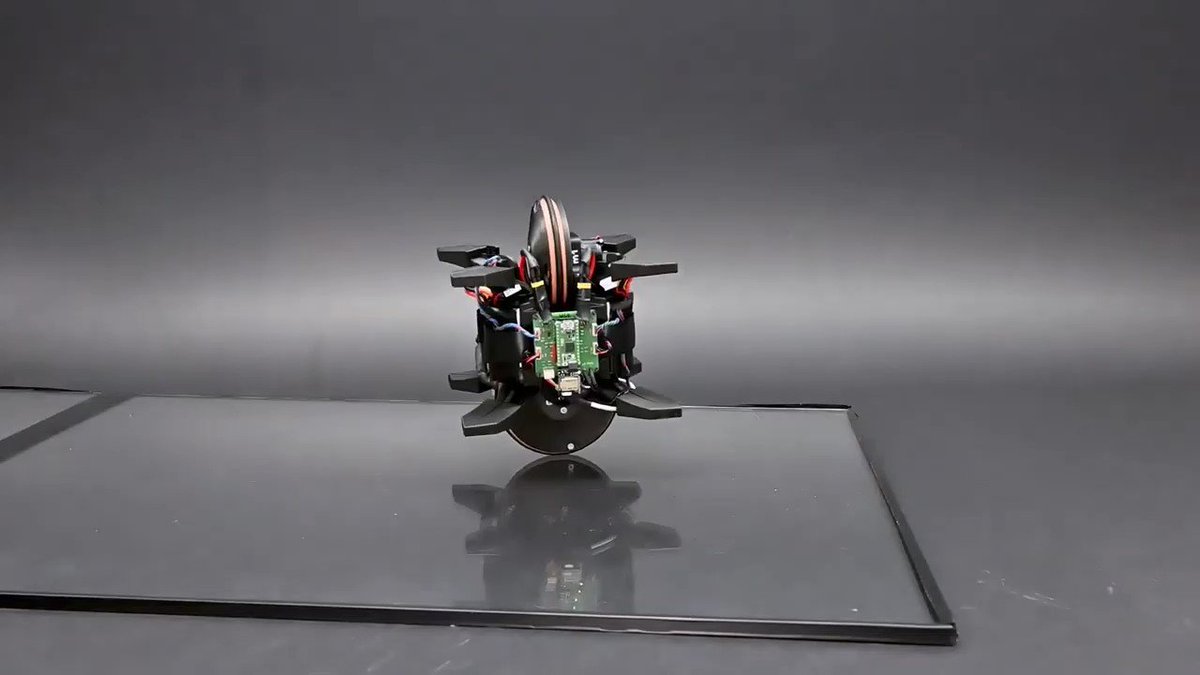 yuさま Amazon.co.jp: TUNSHI STUDIO SNK KOF97 ユリ サカザキ 坂崎