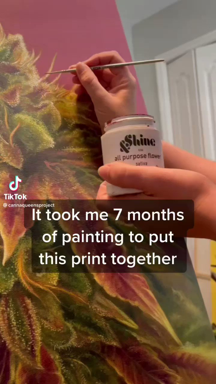 RISE Dispensaries (risecannabis) / Twitter