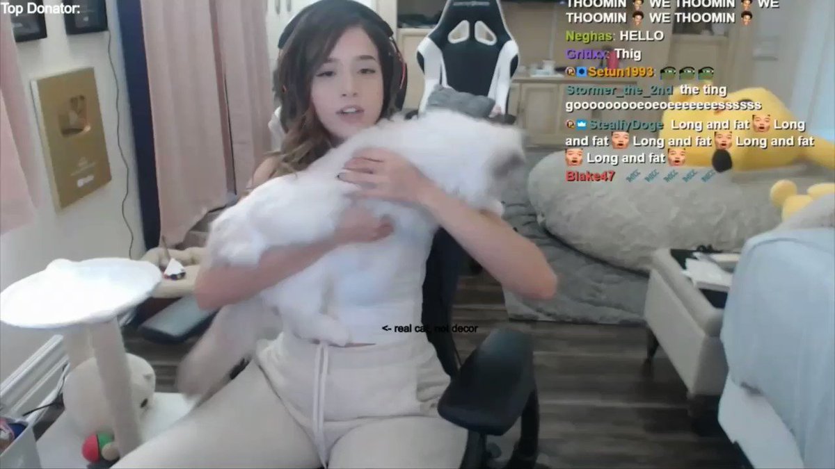 @PokimaneSimpers video Tweet