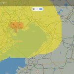 東京の上空に未知の生物が!？雷レーダーが捉えた正体は？