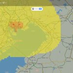 東京の上空に未知の生物が!？雷レーダーが捉えた正体は？