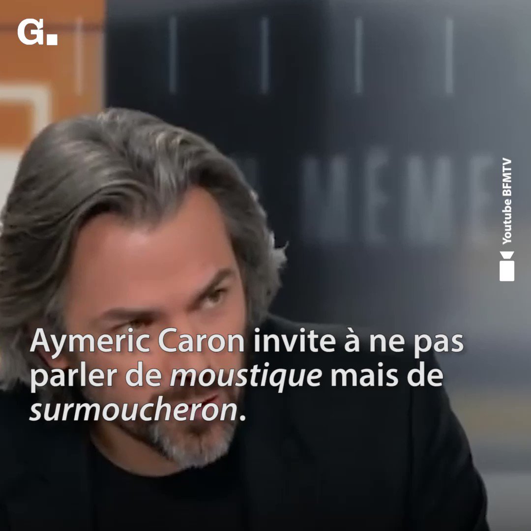 Le Gorafi Aymeric Caron Invite A Ne Pas Parler De Moustique Mais De Surmoucheron T Co 93cmtgttzw Twitter