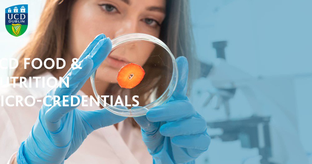 UCD Careers Network (UCDCareers) / Twitter