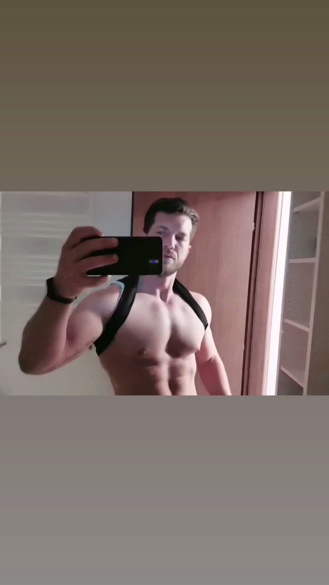 Model - Hadess_Fit master