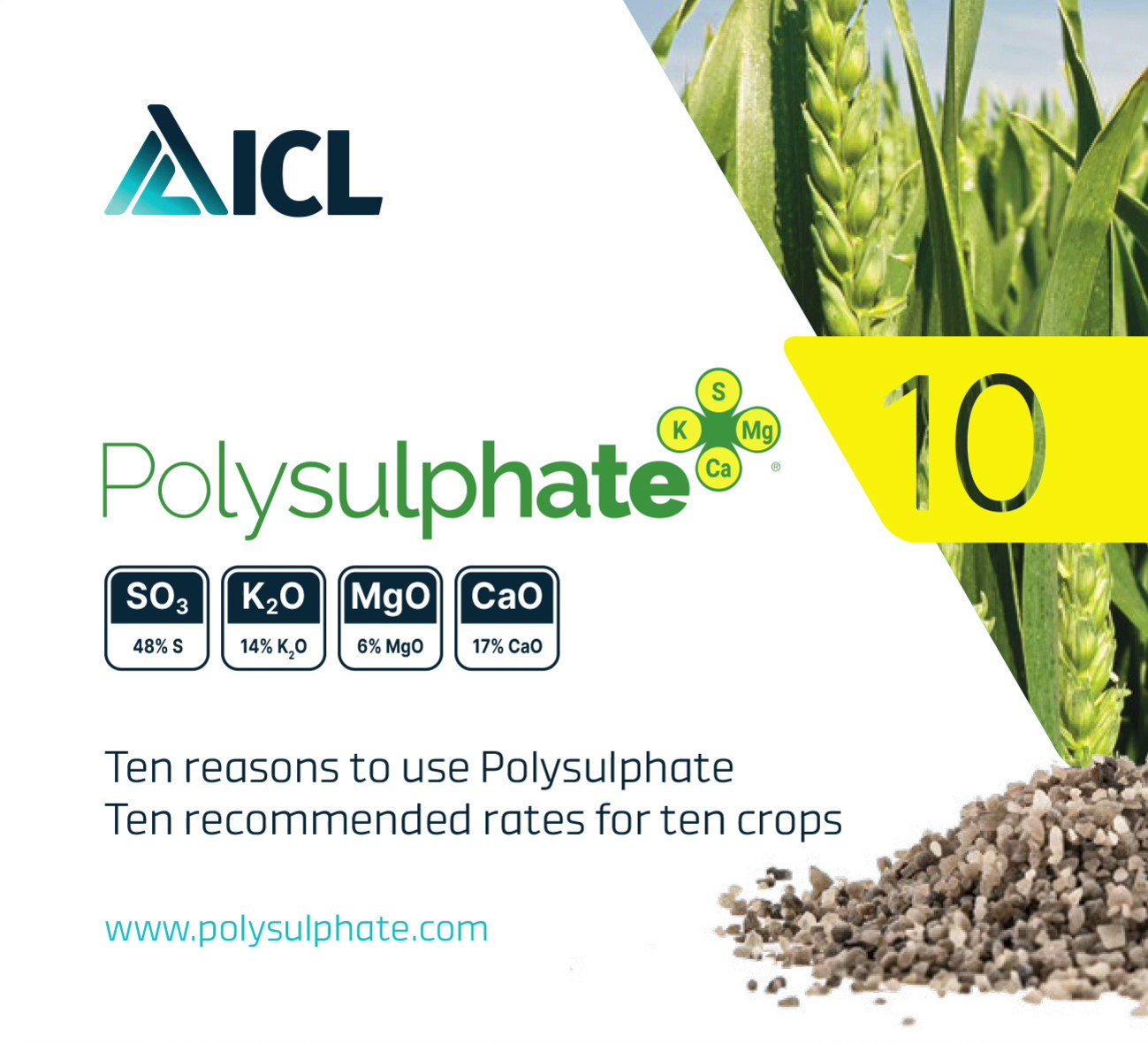 Polysulphate sale