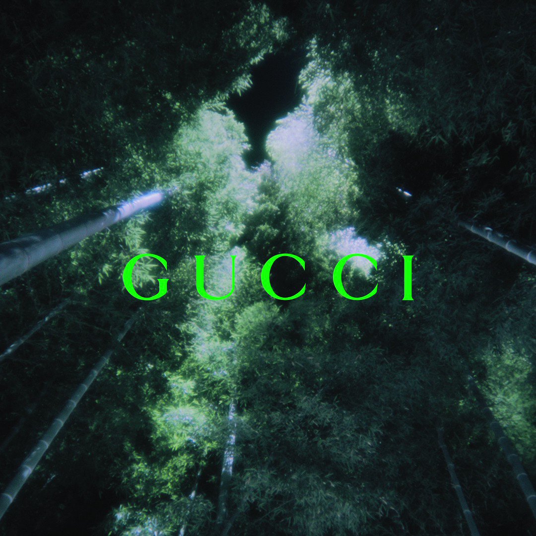 @gucci_jp's video Tweet