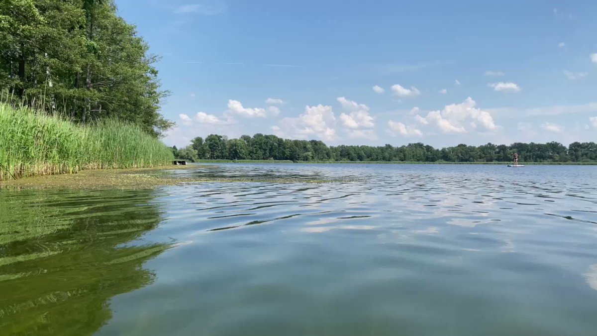 ☀️ Sommer in Brandenburg ☀️

Wir wünschen ein schönes Wochenende. Unsere Tipps für ein Plätzchen am Wasser gibt es auf https://t.co/DLdWO1lk5t

#nachbrandenburg https://t.co/GrmByIASg0