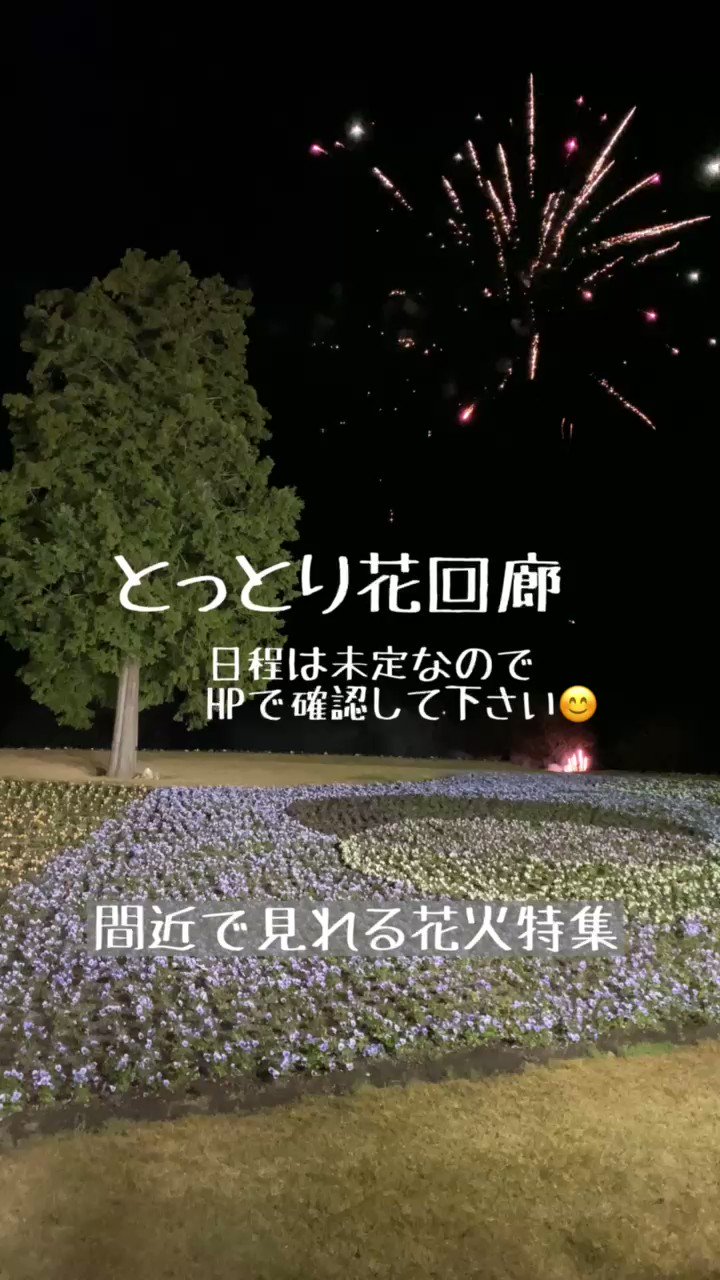 りゅーくん 旅を愛する会社員 インスタにアップした 間近で見れる花火 その２ とっとり花回廊の花火は不定期です Hpで確認をお願いします 花火打ち上がる場所も非公開なんですが たまたま目の前からでした 笑 T Co Tud8zuupuq Twitter