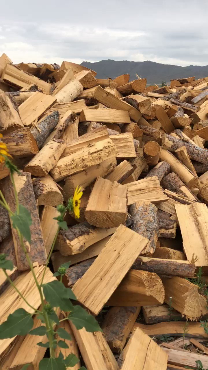 Idaho Firewood™️ (idahofirewood) / Twitter