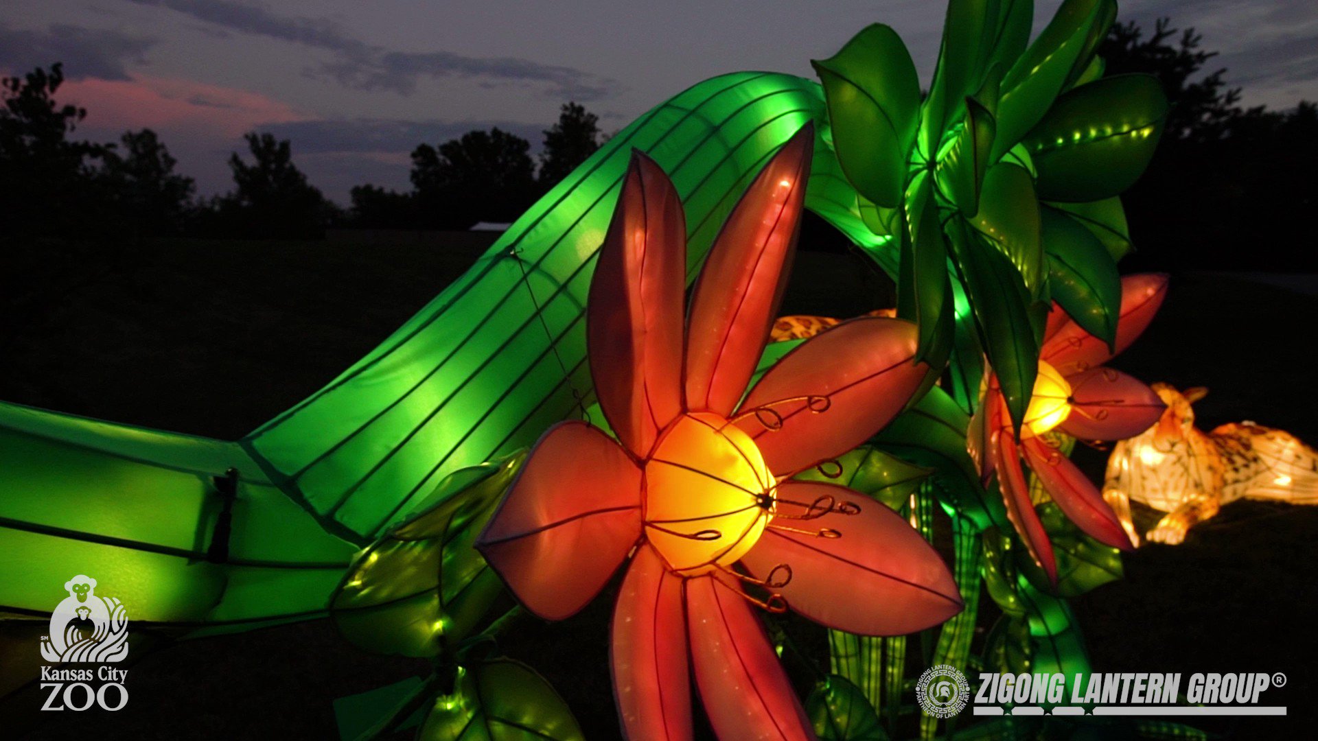 Kansas City Zoo on Twitter "Experience the radiance of GloWild this