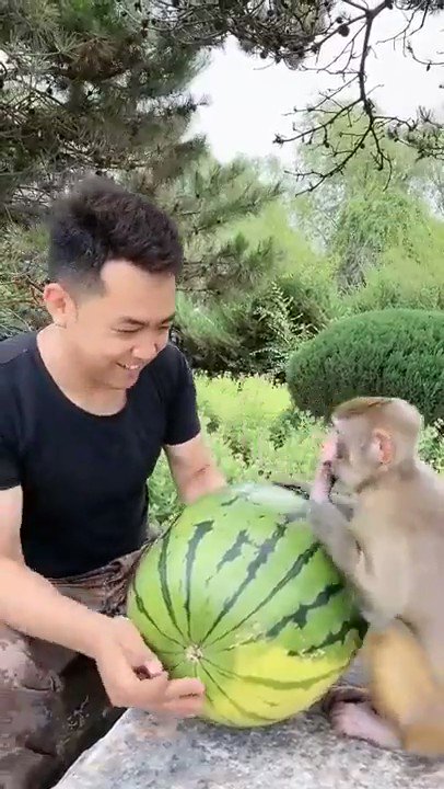 Thumbnail of attached video of status id: 1556903402533052416