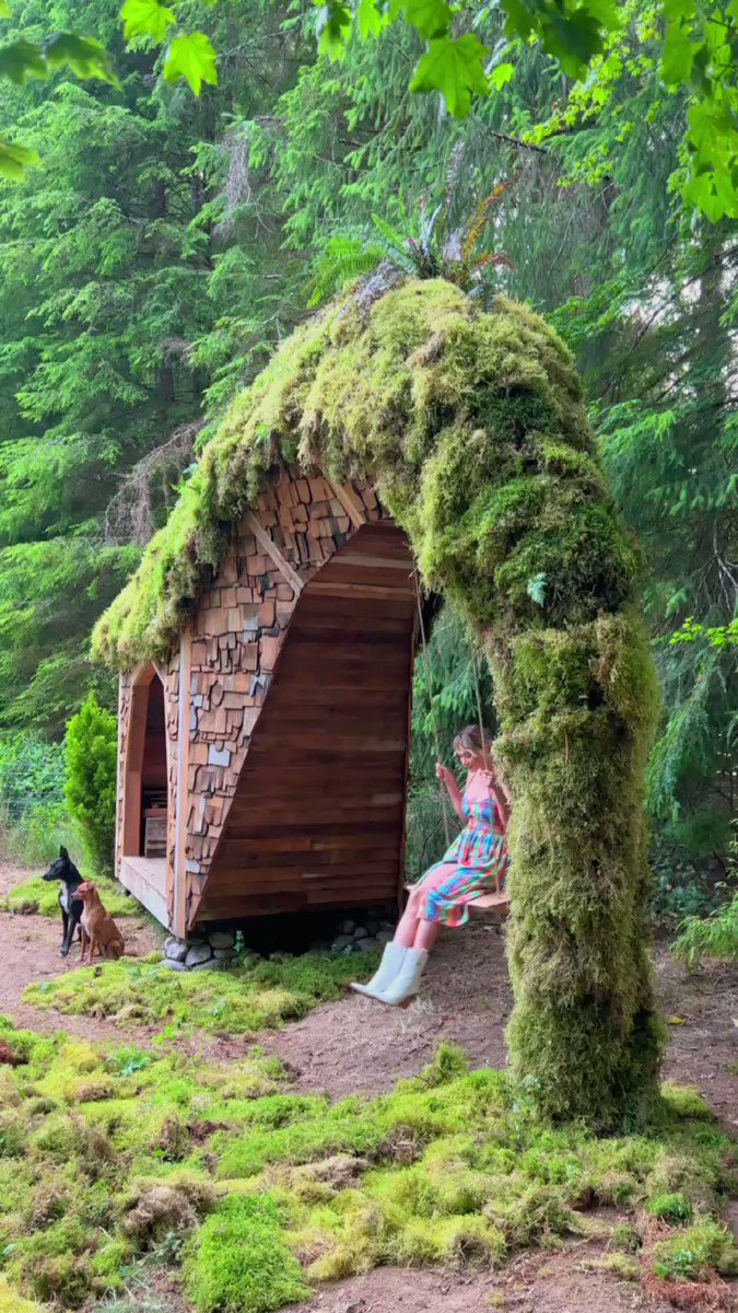 Sara Jean Underwood on Twitter "New wood shed! What do ya think?"(03)