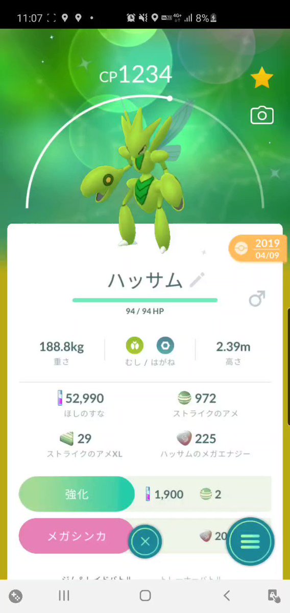 メガハッサム Twitter Search Twitter