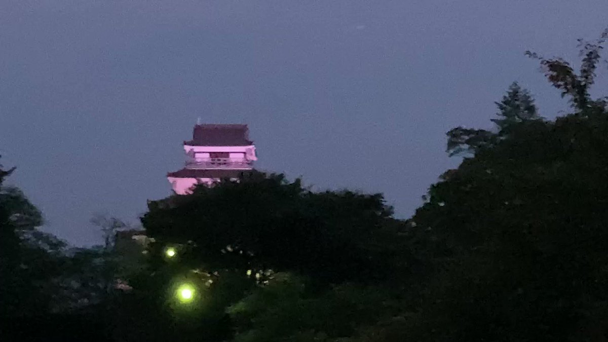鶴ヶ城公園の桜 桜名所 お花見22 ウォーカープラス