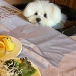 ツイートに含まれる画像