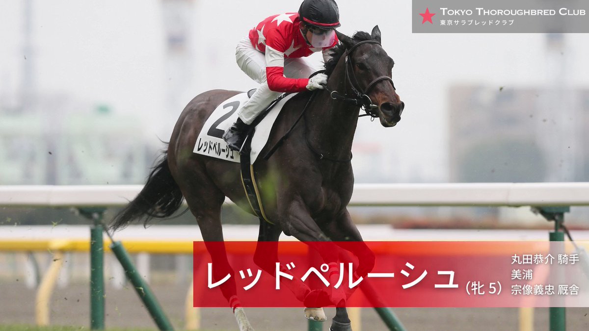 出資馬です🏇。無事にレースしてきてほしいです☆
#レッドペルーシュ 