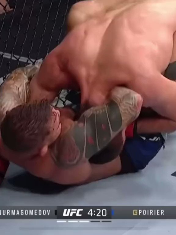 Brasileiros 'invadem' Twitter de Makhachev após campeão errar