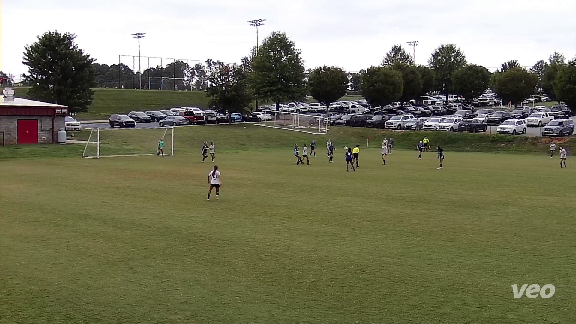 Kelly Poole (kellypoole23) / Twitter