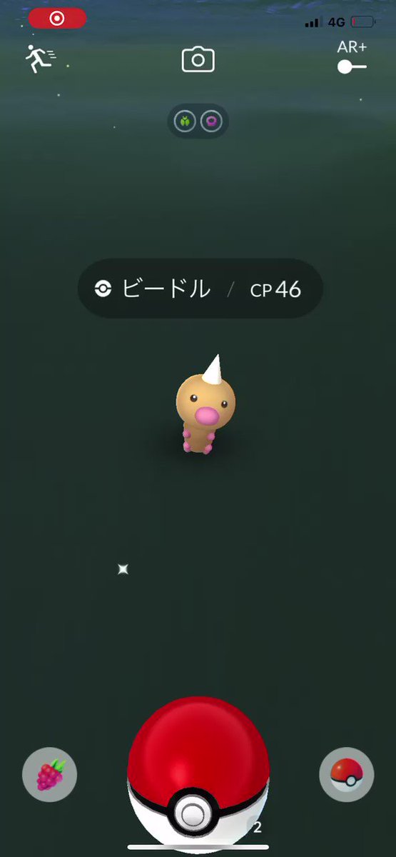 ポケモンgo ビードルの入手方法 能力 技まとめ 攻略大百科