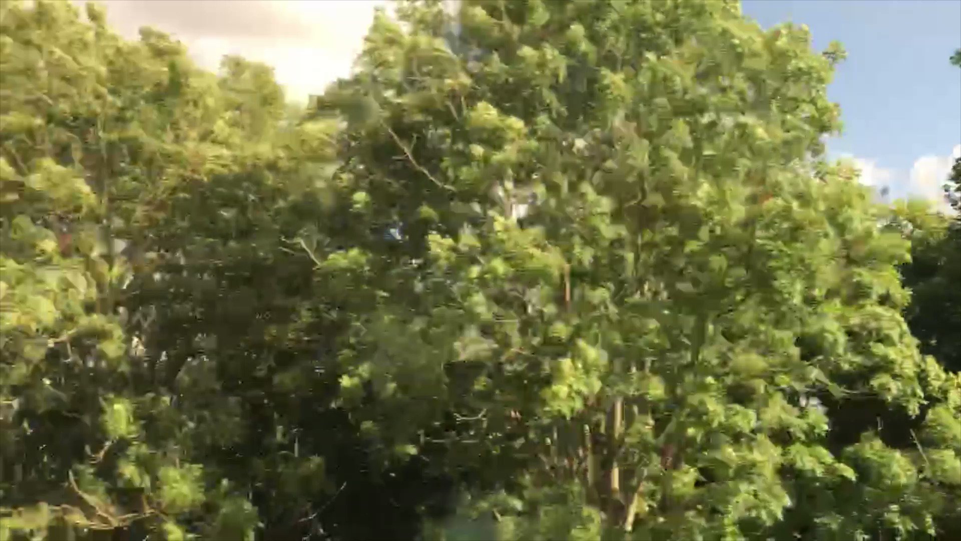 The Cultural Tutor on Twitter "Are trains better than cars? They