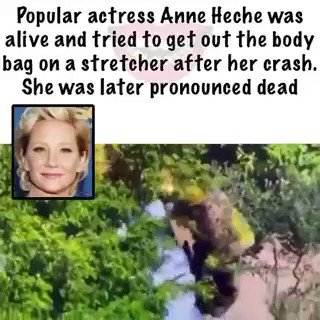 MURDERED? Anne Heche Was Preparing To Expose Hollywood Pedophile Ring Before She Died — New Details Raise Serious Questions UIMcPHOmDN-eItz0