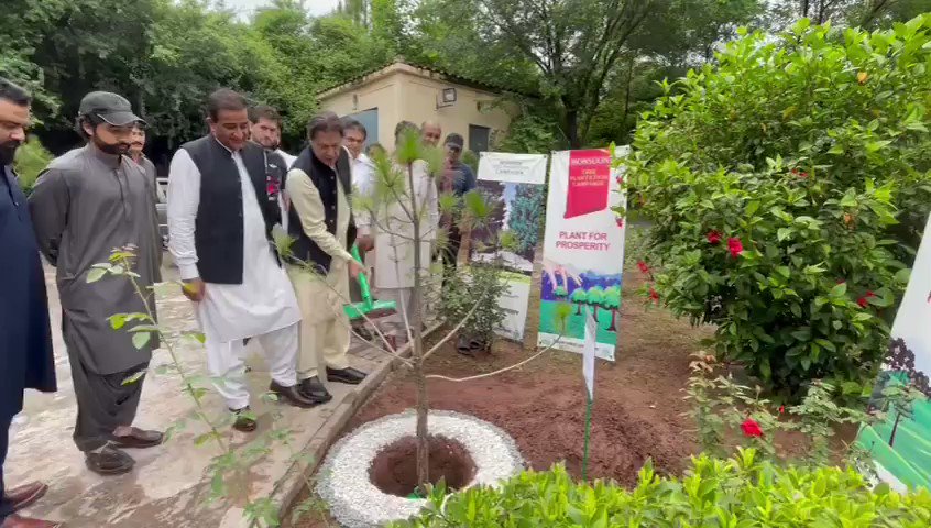RT @VirkSh786: Chairman PTI @ImranKhanPTI restarted 10 Billion tree tsunami project earlier today https://t.co/BdQiRxboyT
