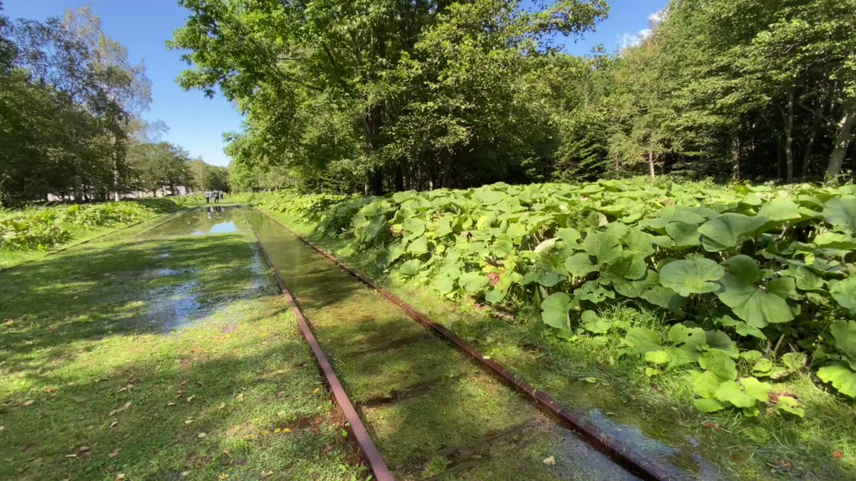 心落ち着く これもうゲームだろ 北海道の廃線跡を流れる透き通った水が幻想的すぎると話題に 1 2 ページ ねとらぼ