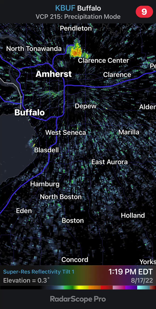 Patrick Hammer (pathammer) / Twitter