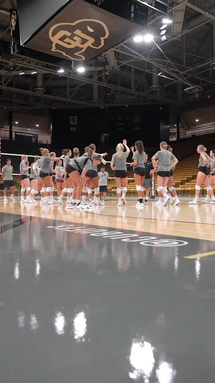 Colorado Buffaloes Volleyball (@CUBuffsVB) / Twitter