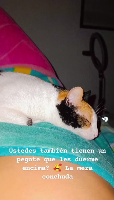 Mero pegote ? https://t.co/Gb3VsvGshY