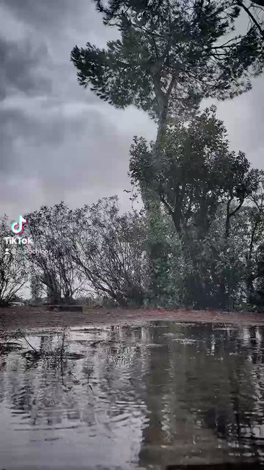You need to be alone for stay with somebody ? #rain #toxic https://t.co/OFME6VVyVx