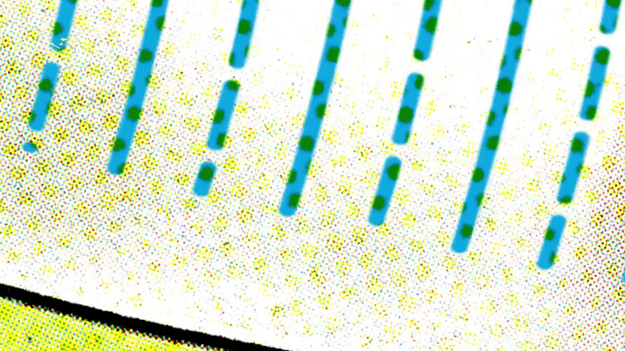 Warp Records (@WarpRecords) / Twitter