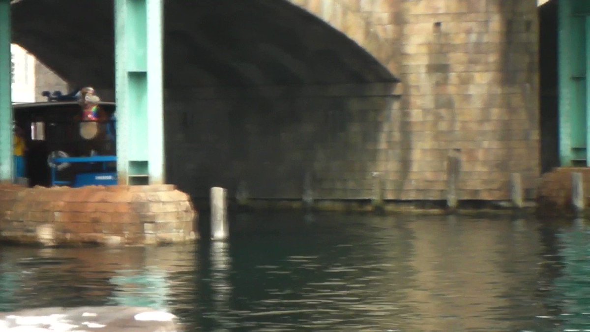 私この後ろの座ってるだけのミッキーが大好きだった……いや今も好き（次の年にチャイルドシートみたいなのにランクアップしたのも好き） 