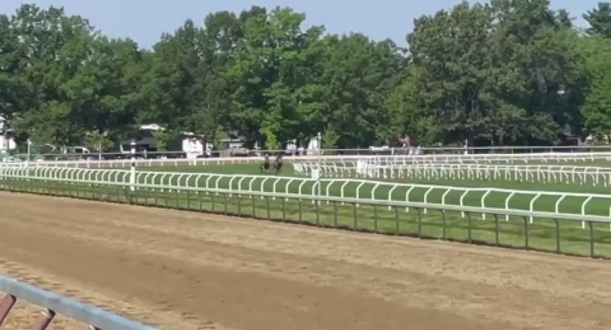 A Mo Reay Workout Report
A Mo Reay breezed a half mile on the turf yesterday morning on the outside of Bisset. The Todd Pletcher-trained fillies stayed together for most of the breeze, until A Mo Reay drew off about 100 yards before the wire. https://t.co/s2bDBF6XZ9