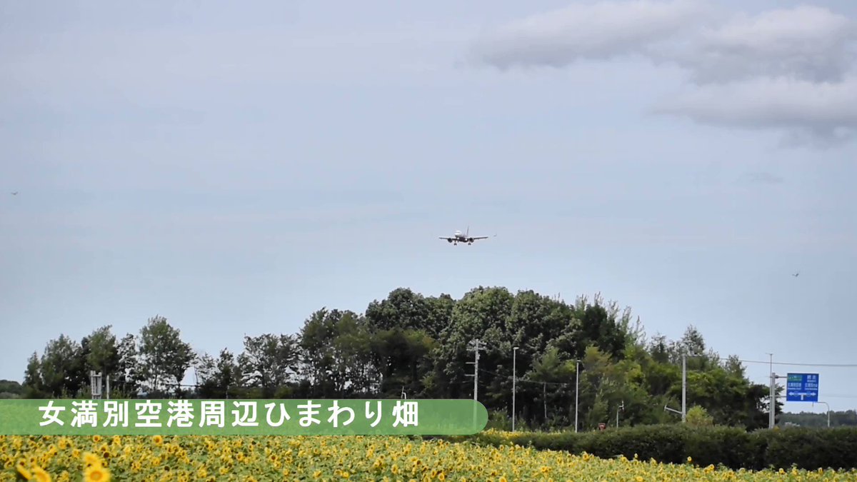 Npo法人オホーツク大空町観光協会