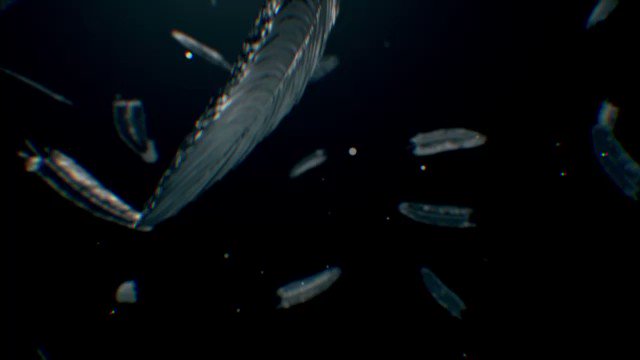 アクターズリーグ 立石俊樹 アクスタ その他 | sarayduzu.bel.tr