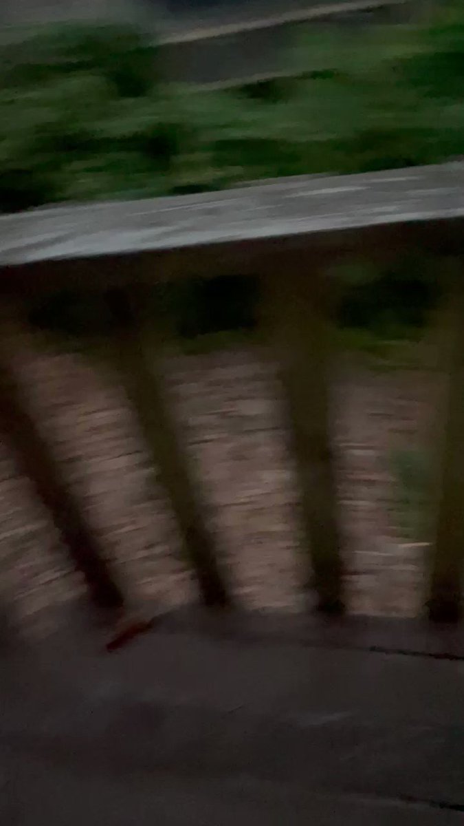 洋ショタ | Twitter Video Tools