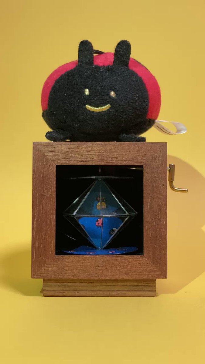 箱の中でてんとう虫が跳ねる！