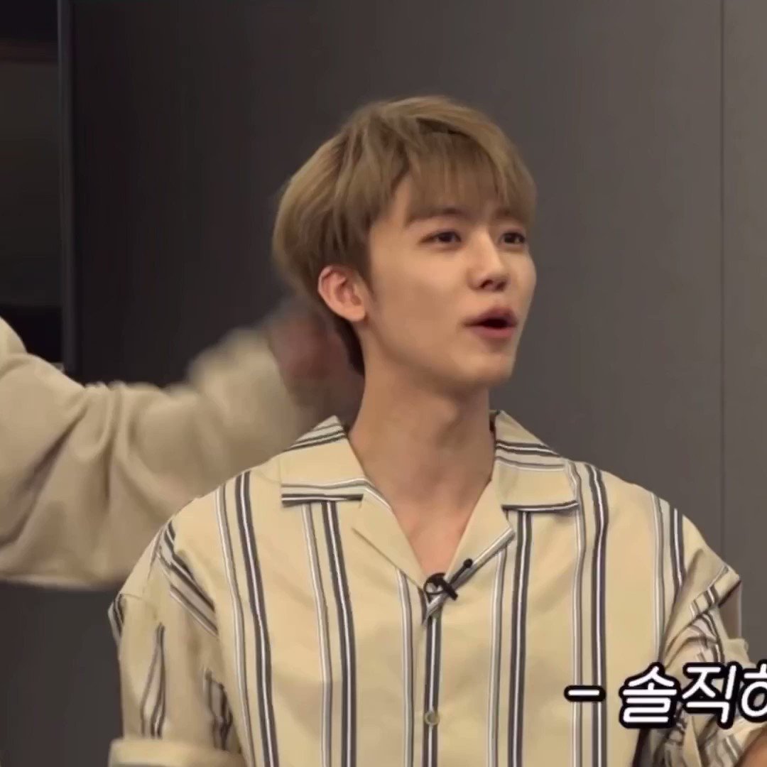 On Twitter jaemin Is Mark s Favorite Cat on-twitter-jaemin-is-mark-s-favorite-cat