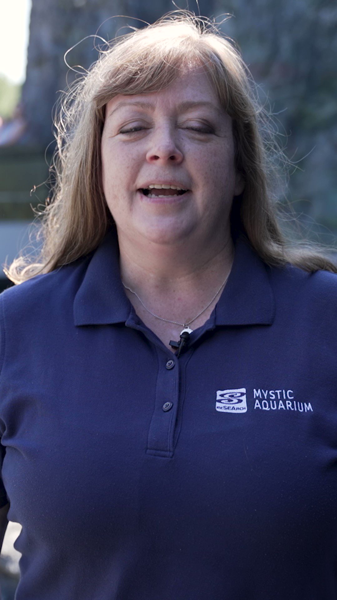 Mystic Aquarium on Twitter: "Did you know that sexual dimorphism is