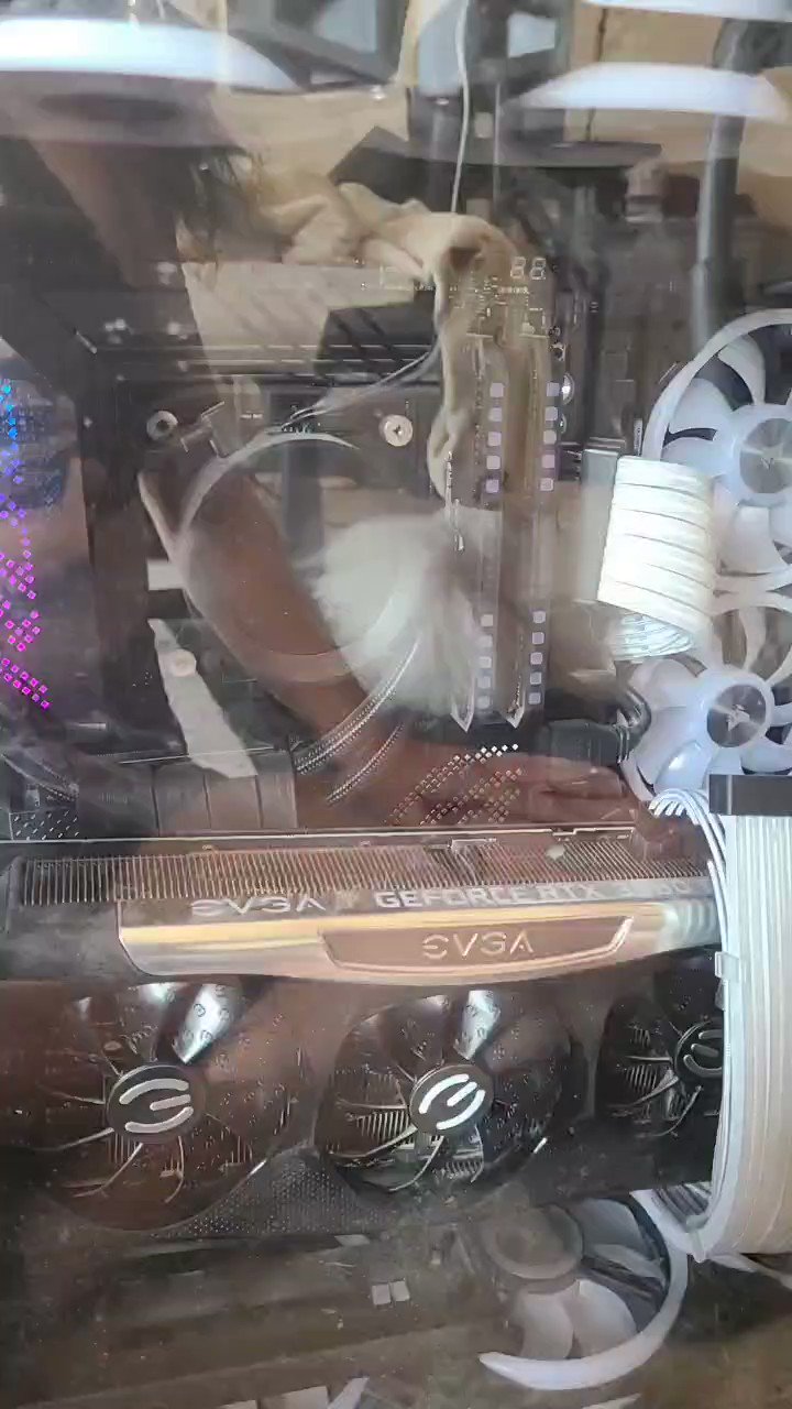 Terroriser on Twitter: "@MsVixen @PowerGPU" / Twitter