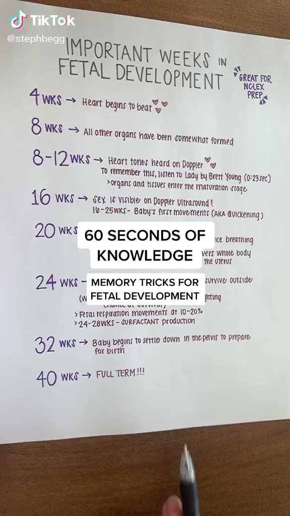 Fetal Development Week By Week Chart