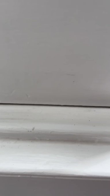 I cough him filming me while I also was filming for Onlyfans alone🙈.Help me to find him and give a prize<a href="/tag/crossdressing"class="tags"><span>#crossdressing</span></a><a href="/tag/femboy"class="tags"><span>#femboy</span></a><a href="/tag/crossdressingslut"class="tags"><span>#crossdressingslut</span></a><a href="/tag/crossdresserindo"class="tags"><span>#crossdresserindo</span></a>