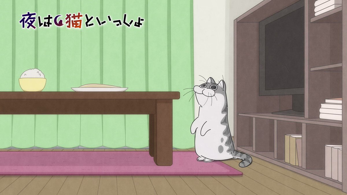 Tvアニメ 夜は猫といっしょ 公式サイト