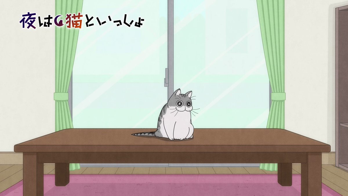 Tvアニメ 夜は猫といっしょ 公式サイト Tvアニメ 夜は猫といっしょ 公式サイト