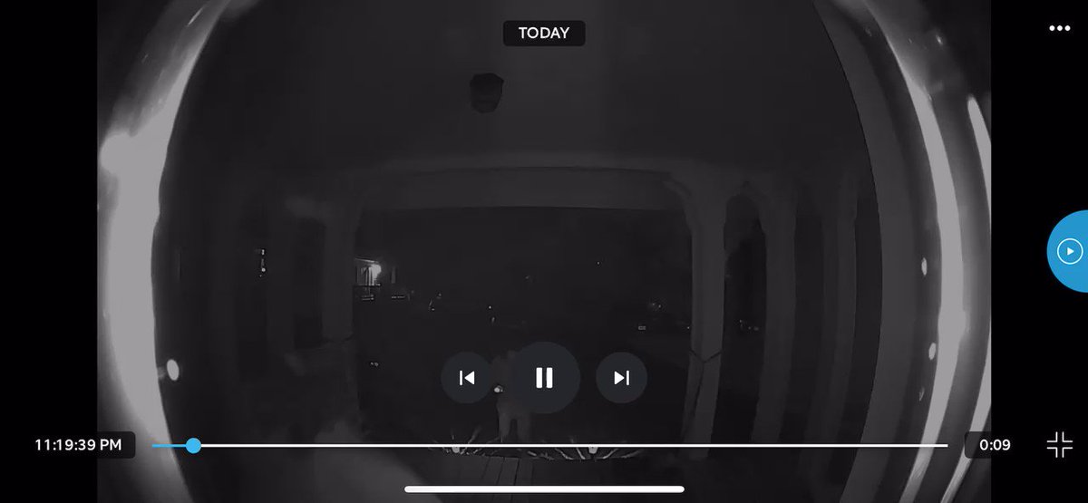 Julie on Twitter "RT alIiesversion GUYS THE RING CAMERA FOOTAGE OF