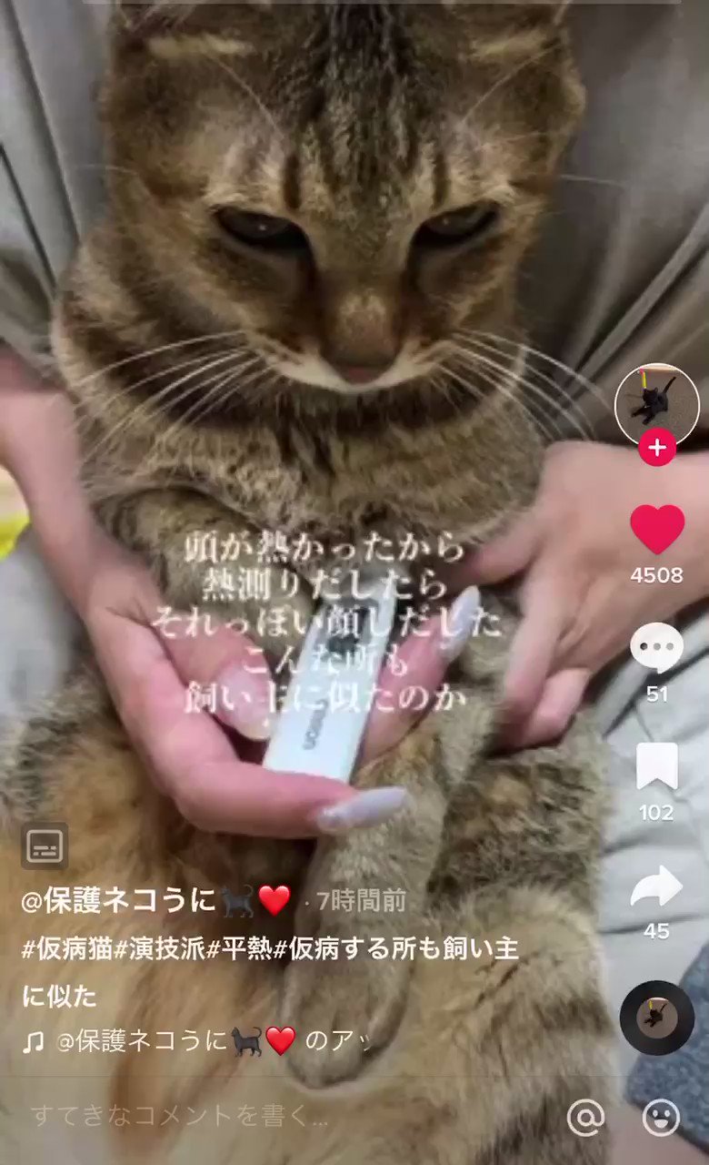 体温 Twitter Search Twitter