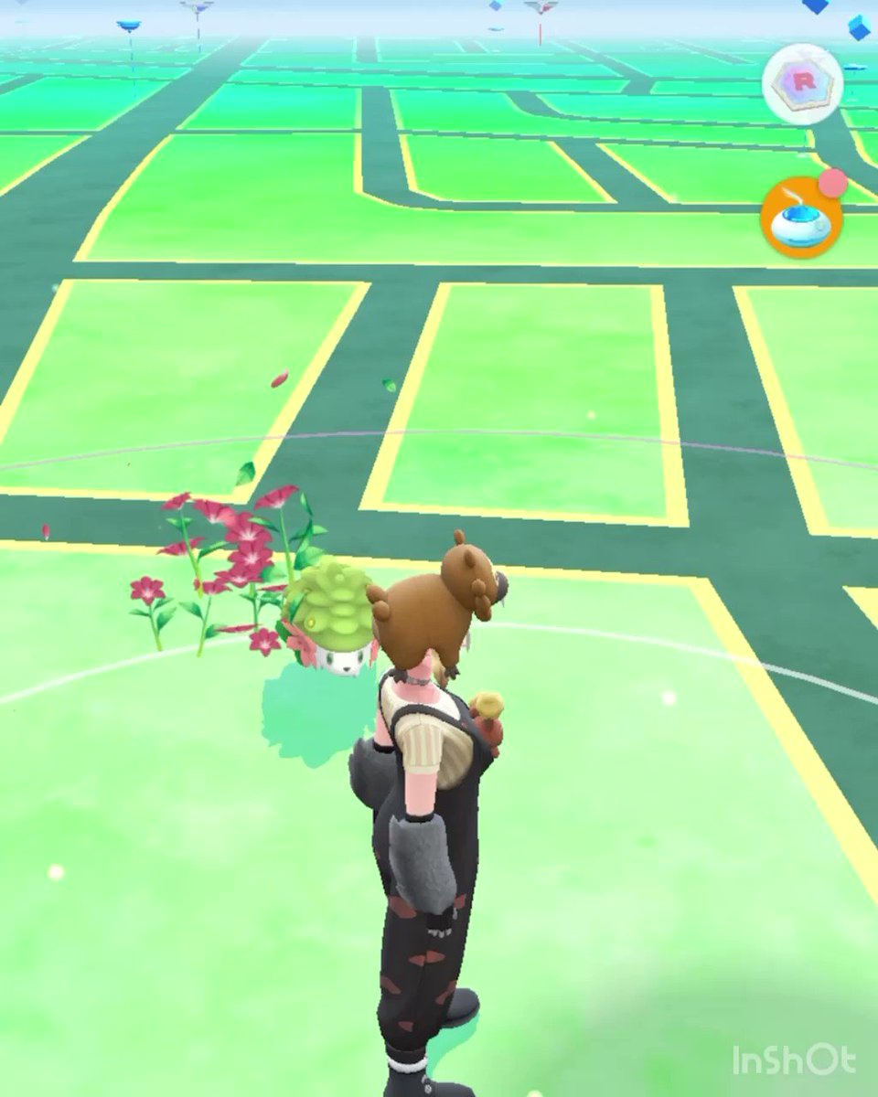 ポケモンgo 相棒にオススメ シェイミを相棒にすると凄い可愛い ポケブラリー ポケモンgo 相棒にオススメ シェイミを相棒にすると凄い可愛い ポケブラリー