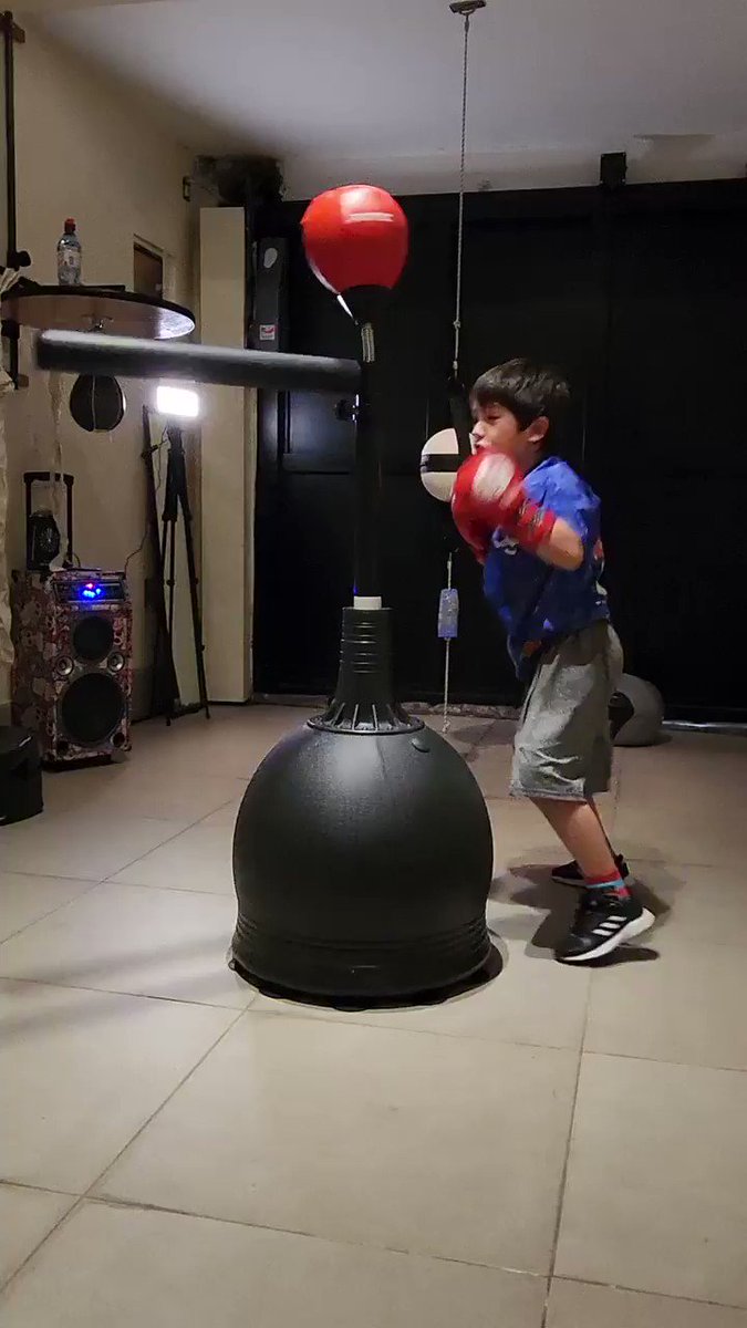 Punching Ball Metal Boxe Power Spin